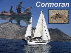 Cormoran